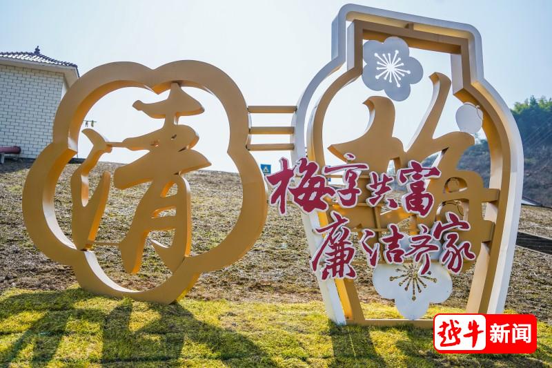 修品修身如青梅！绍兴“青梅之乡”绽放“青梅六法”
