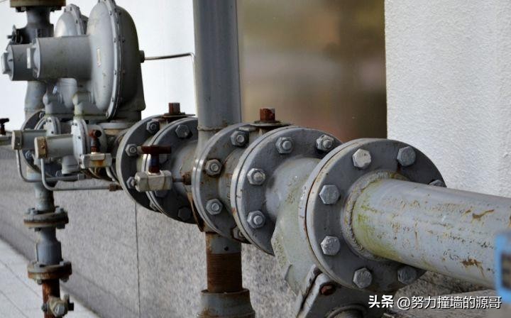 买哪种滤芯的净水壶好,滤水壶和净水壶哪个划算