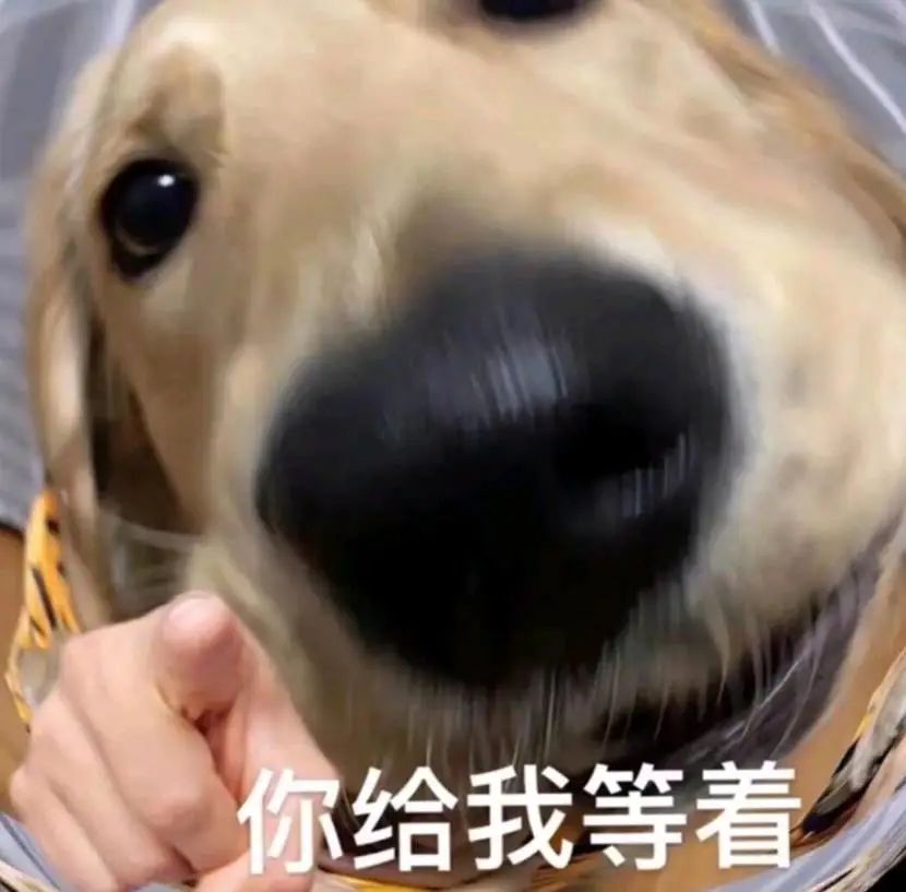 耐克阿迪达斯比赛用球,耐克的字母足球