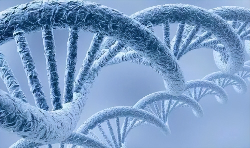 纳米技术在癌症诊断中的应用论文,宫颈癌靶向治疗的研究进展