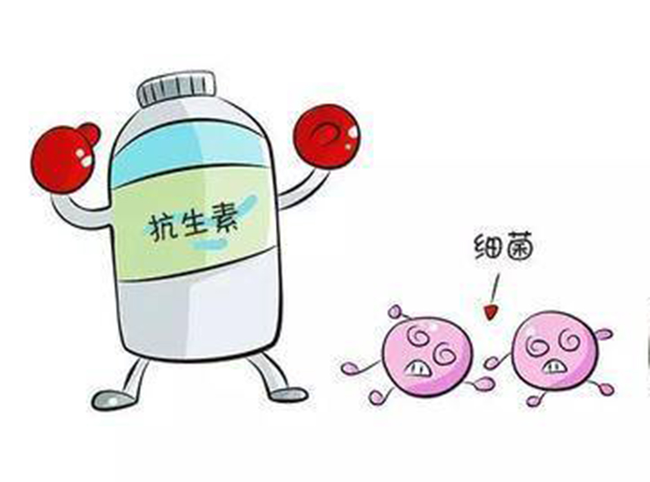 与人和平共处的细菌,细菌和我们和平共处