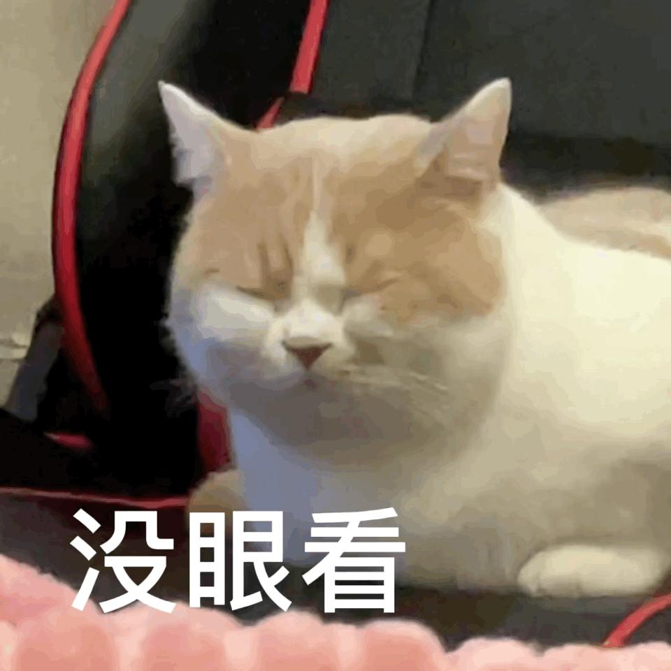 猫咪在交配的时候，究竟爽不爽？