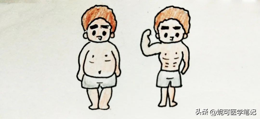 湿热长痘痘吃什么好得快,血热湿气重长痘痘怎么调理