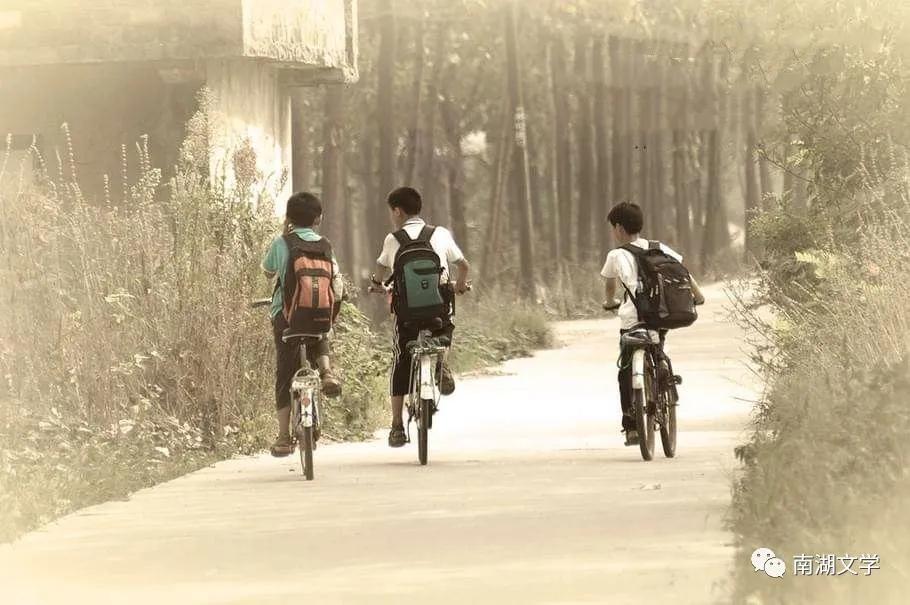 我和我的书包的故事,我和我的书包