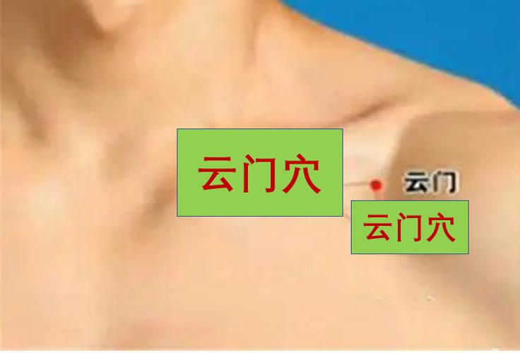 云门穴丰隆穴,云门穴有宣肺功能吗