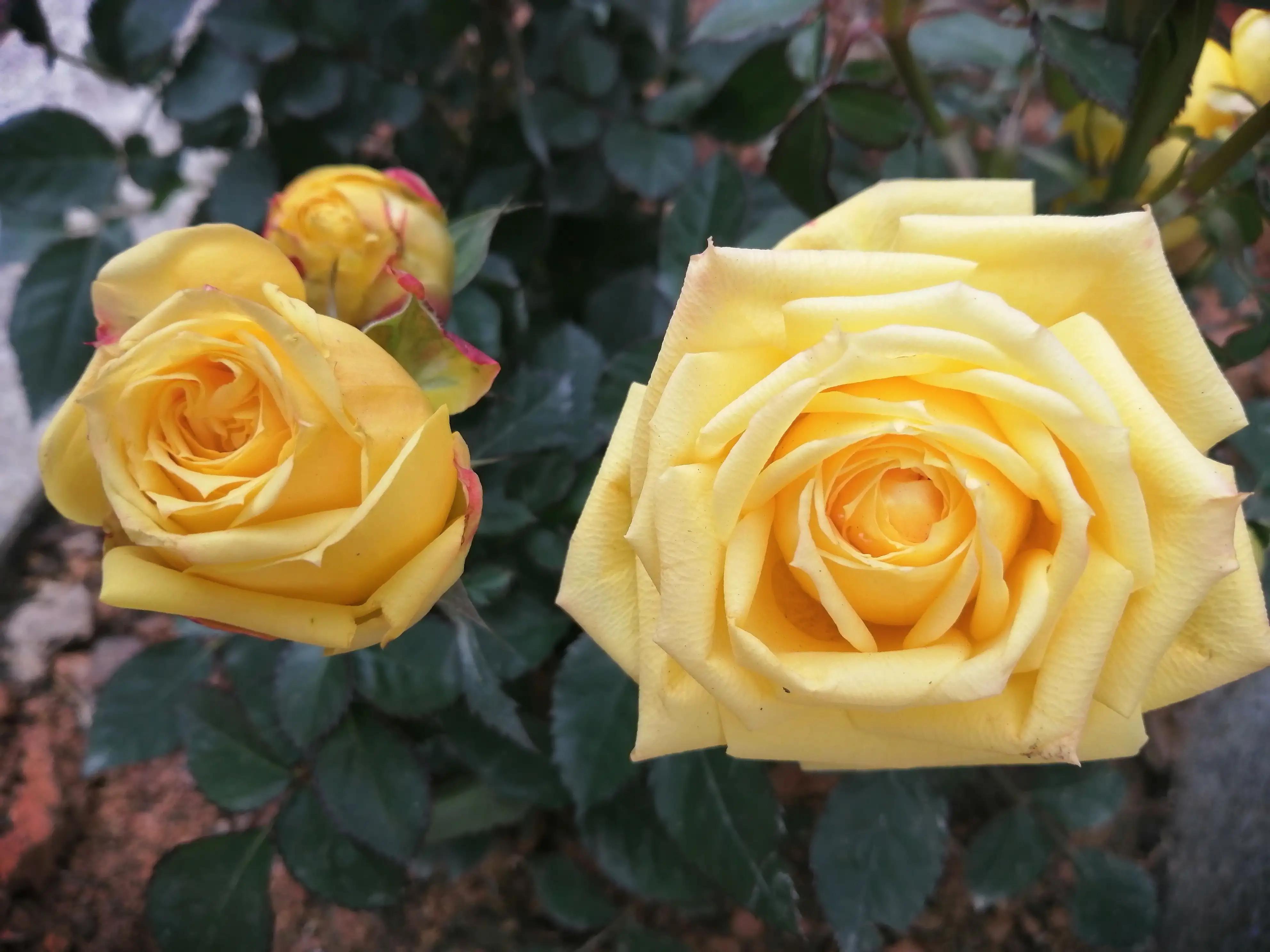 补材料,补齐材料