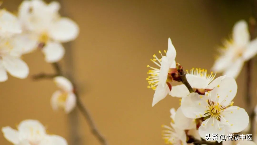 治牙痛有好方法吗,治牙痛立竿见影的中药方