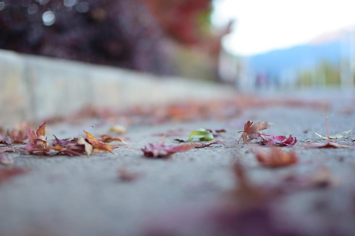 一个女人从来不换微信头像，十有八九是这4种人