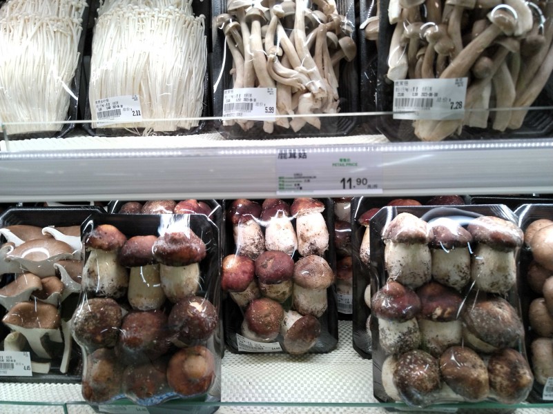 这些菌类你认识几种,这些食用菌之最你都知道吗