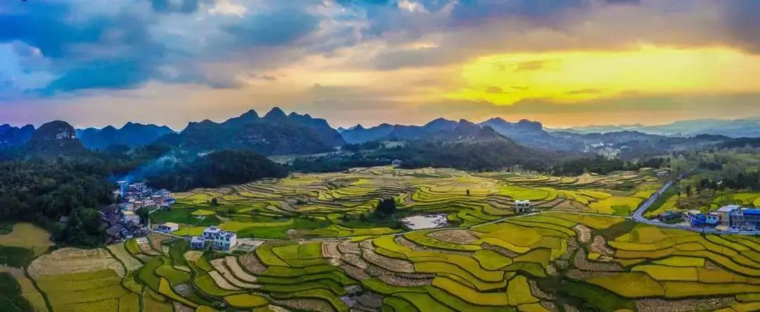 四情监测是什么意思,农业四情监测系统