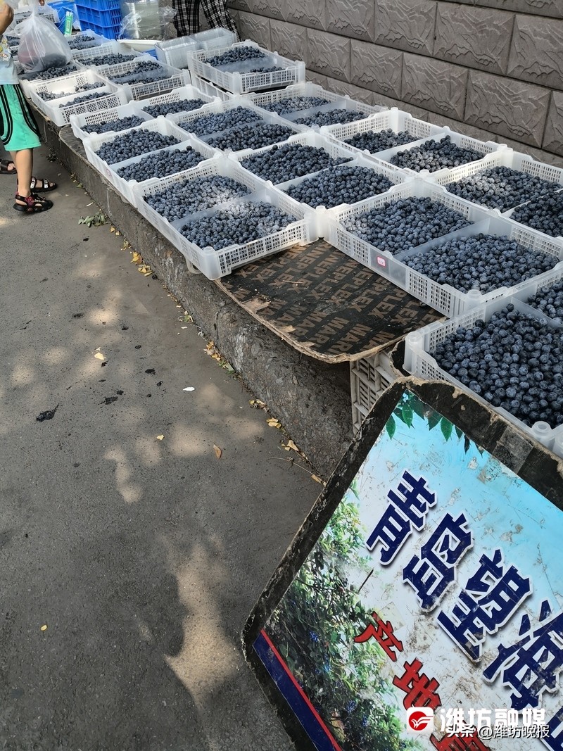 【农贸市场“慢”游记：新华乙巷早市，潍坊人的超长版“菜篮子”！】