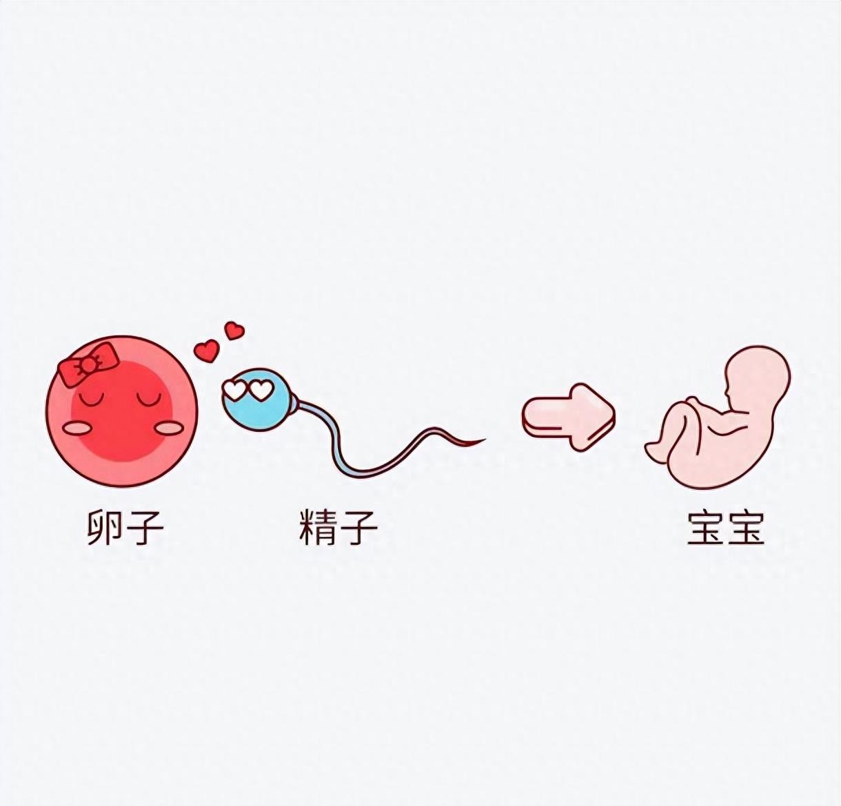 失落的小勇士们,踏上了怀孕之路