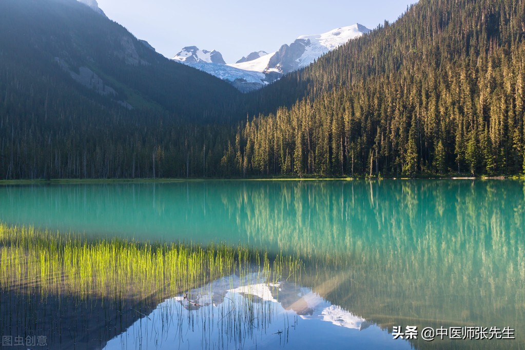 山静日长仁者寿的隶书,山静日长仁者寿寓意是什么