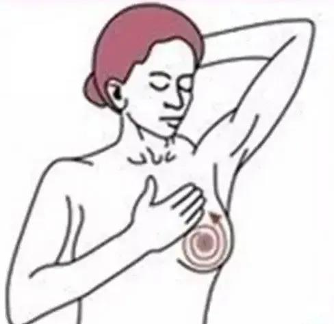 怎样进行乳房自我检查,乳房的自我检查方式
