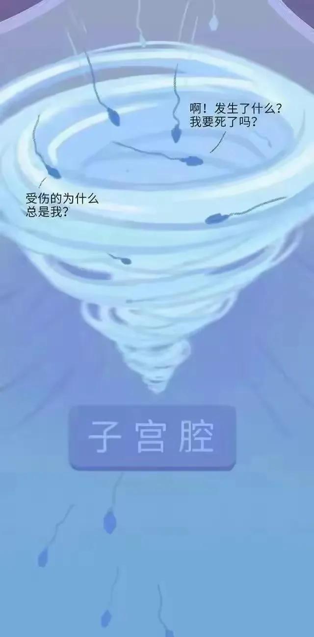 精子产生到成熟的过程,精子形成到受孕过程