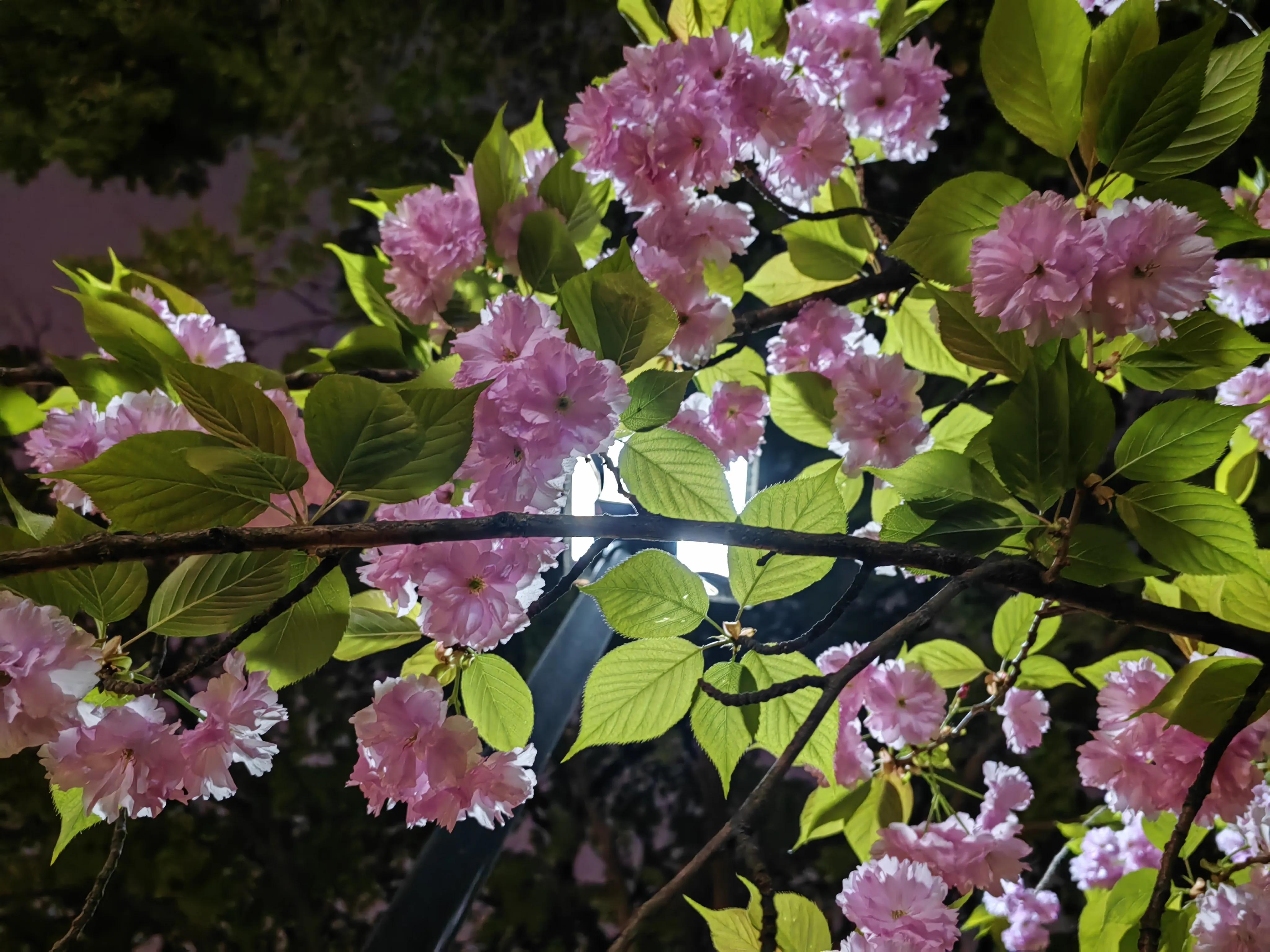 微信个性签名短句高冷霸气,女生微信个性签名霸气伤感