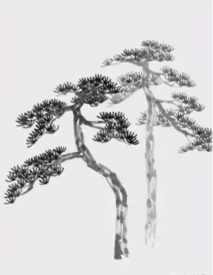 松树复杂画法,松树的十种画法
