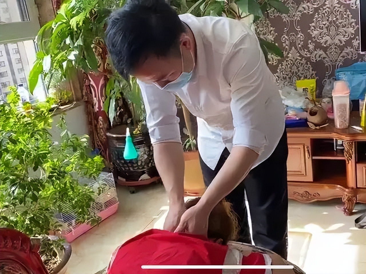 “上门按摩”服务为啥越来越多？老顾客说漏嘴，竟是这4个原因