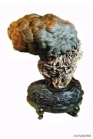 难得一见的仙鹤假奇石,这些难得一见的奇石美醉了