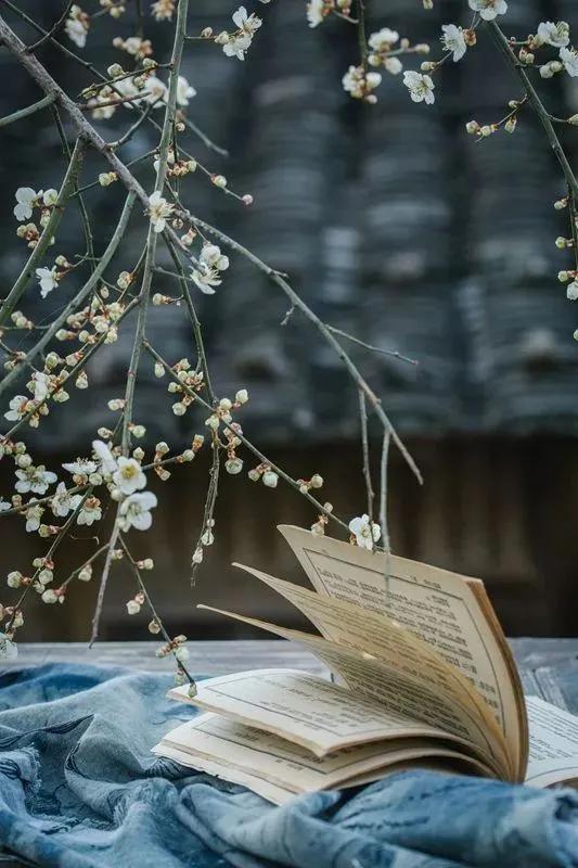 一缕幽香的诗,淡雅芬芳诗句