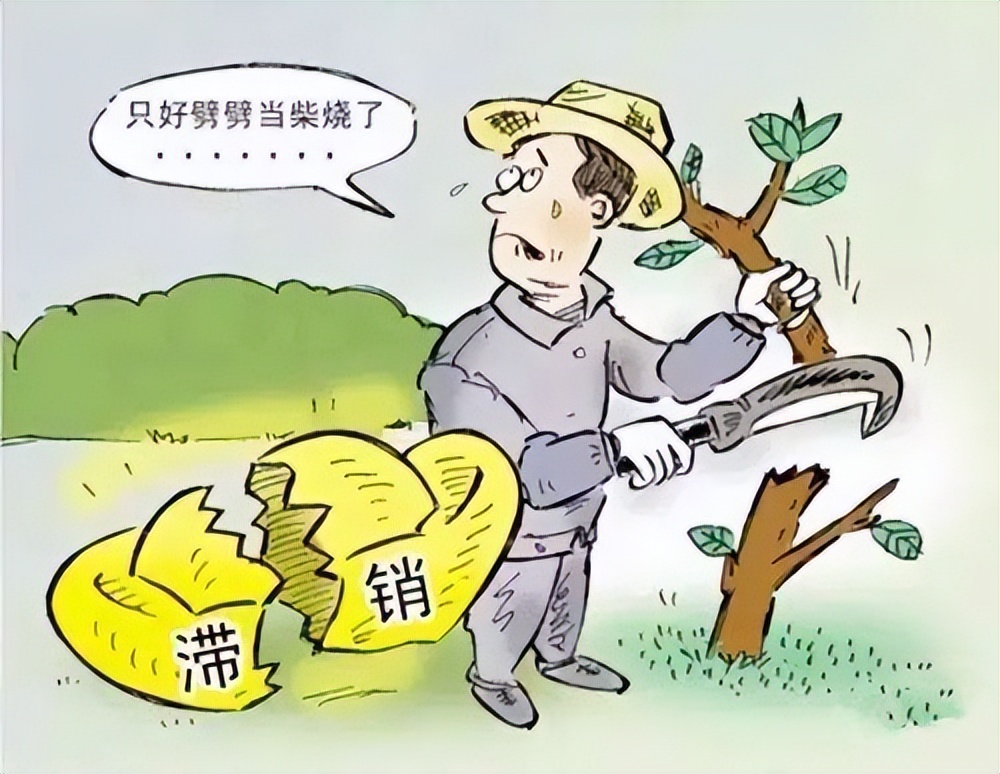 十年前种的树现在能卖多少钱,现在种树什么树值钱