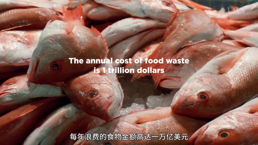 满分推荐！这部颠覆三观的良心之作，绝不该只有300人看过