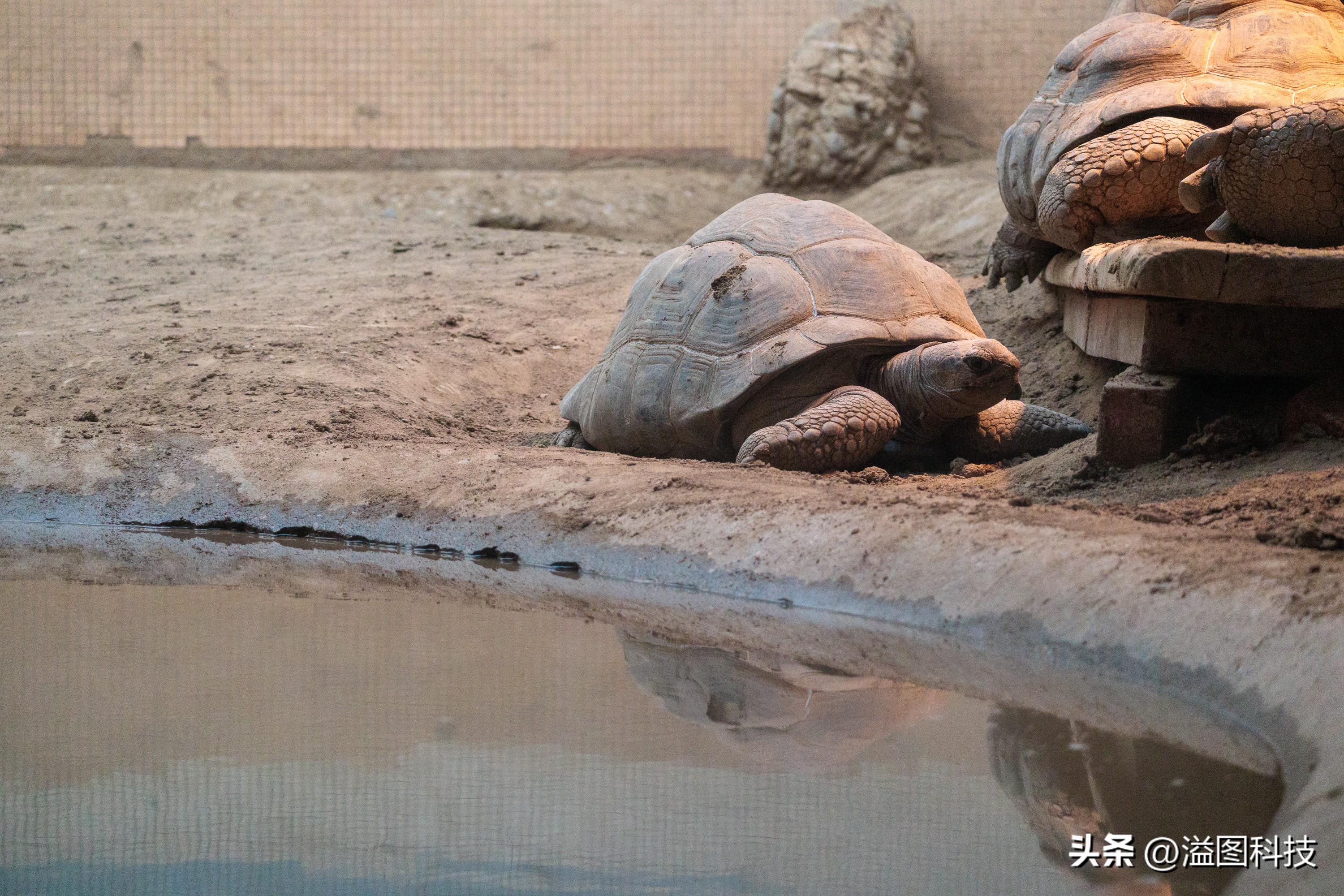 佳能rf-s55-210mm,和儿子感受大自然的气息和美景