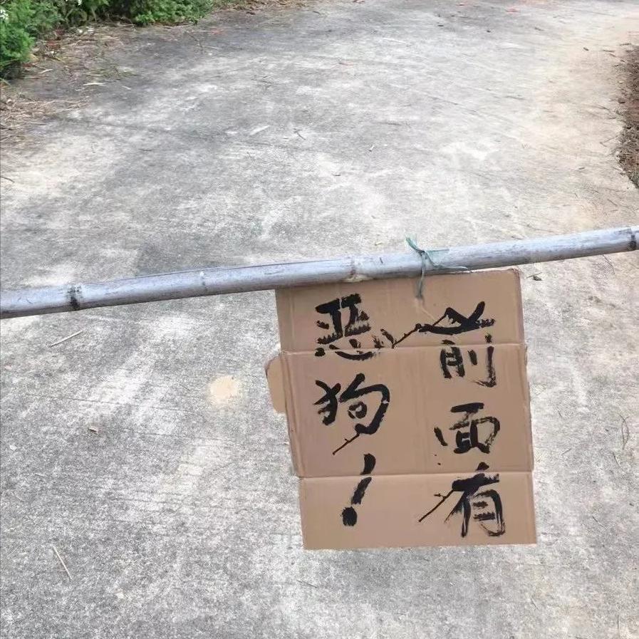 回顾贵州老人山上晨练，被杜高犬一路跟随，最终被2只杜高犬撕碎