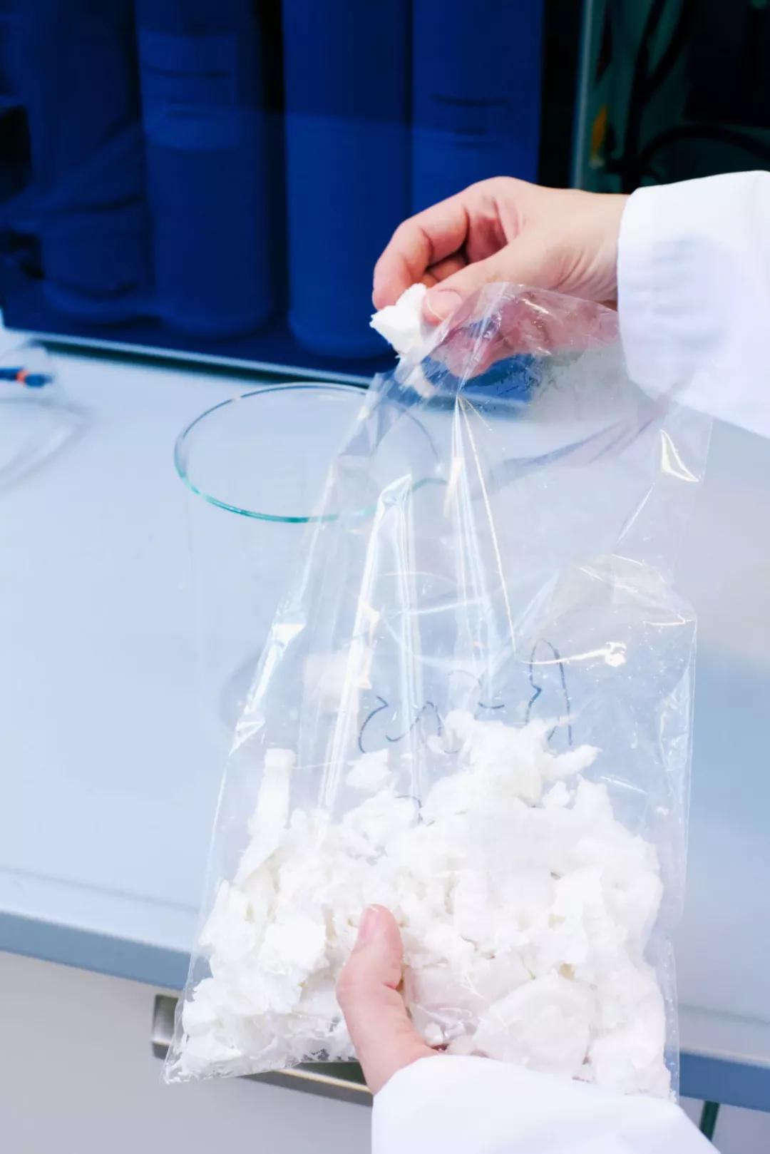 知耕快报｜高GABA基因编辑番茄日本上市；植物工厂种植可可树