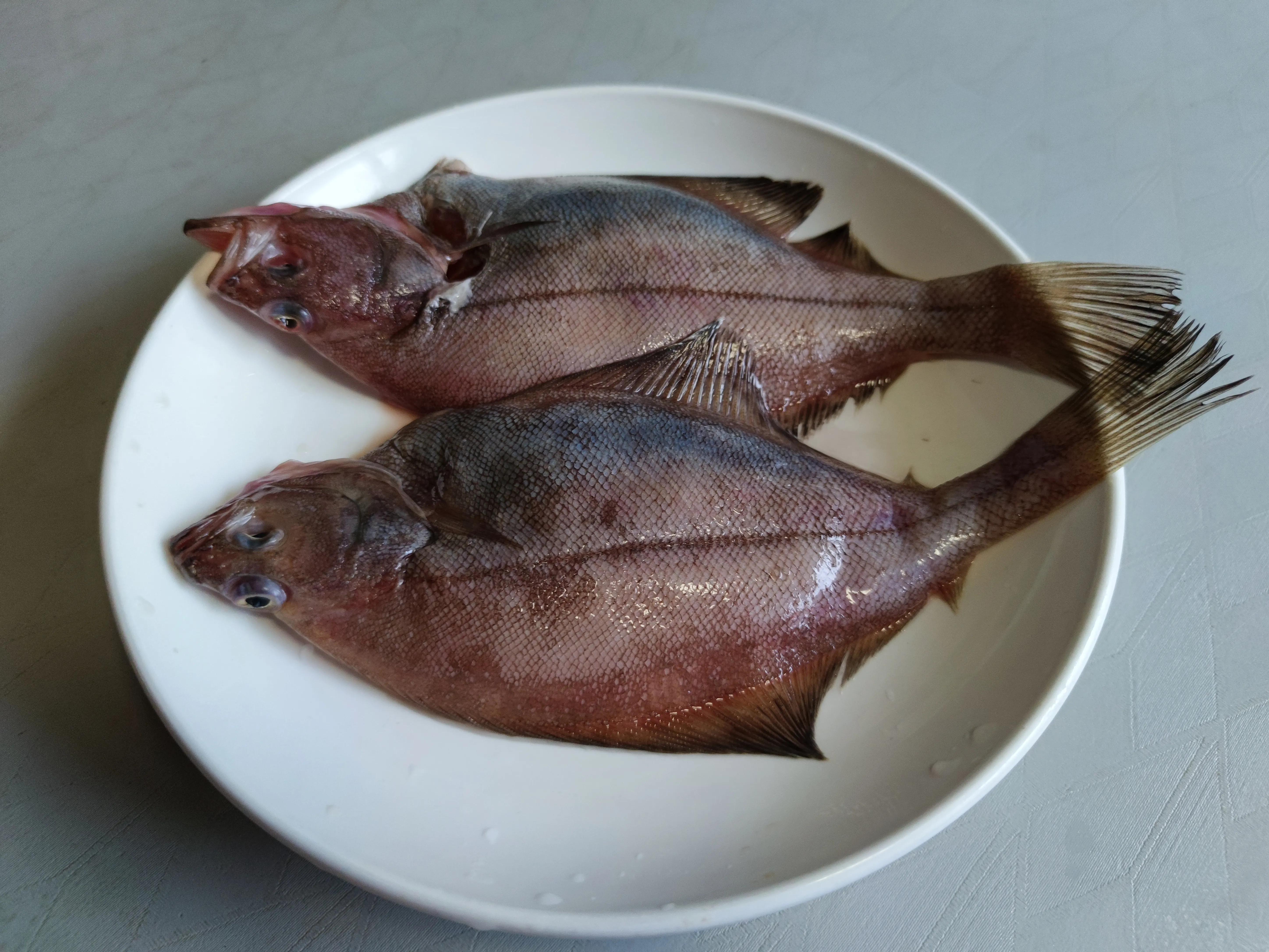 五一前什么海鱼最肥美?这8种都是正宗无养殖的，再不吃可要封海了