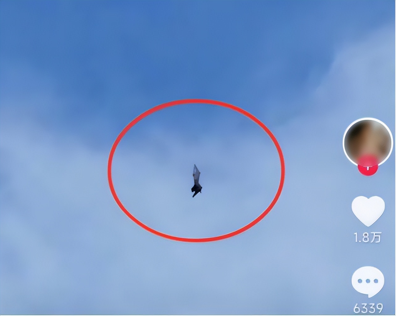 天空出现蝙蝠被挂空中,一蝙蝠疑似被挂在半空中