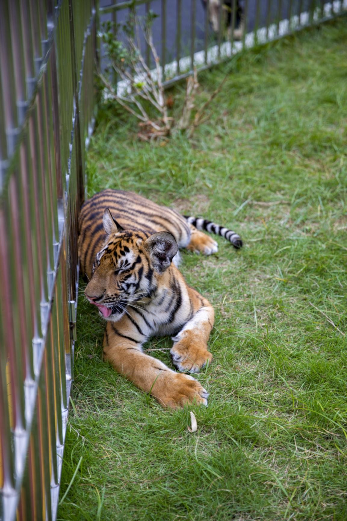 探秘韶关,魅力韶关之旅