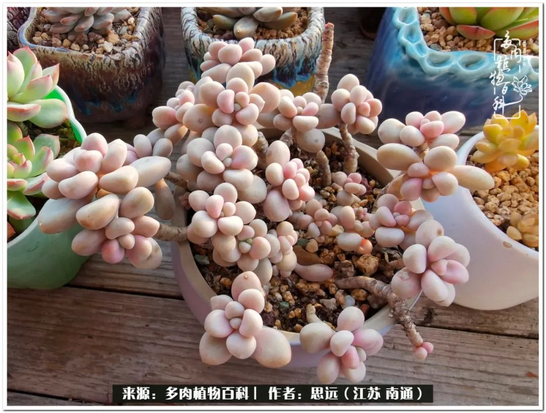 隔着时间的深爱，来自秋天的私语