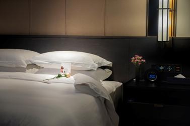 洛阳国宝铂瑞酒店老板,洛阳国宝铂瑞酒店和国宝瑞邑酒店