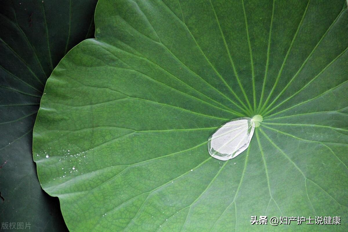 湿哒哒的梅雨季，谈谈女性羞羞的“霉”之隐