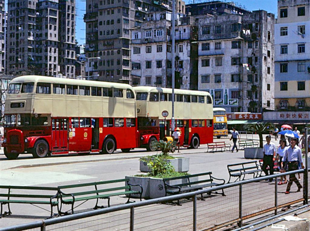 香港富婆60岁扎双马尾，只为等被绑丈夫，死后800亿遗产无人继承
