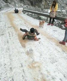 每日gif搞笑趣图,每日gif