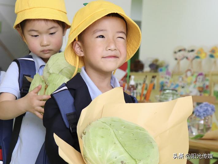 2024德阳公办幼儿园报名统计,德阳2024幼儿园招生信息一览表