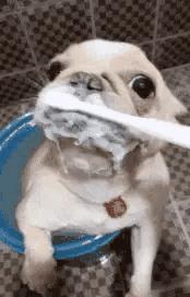 小蛇化身美杜莎,小蛇瞬间变成美杜莎