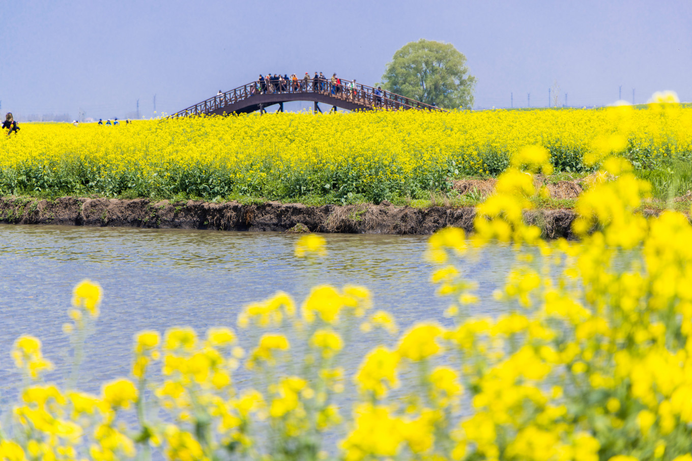 春日下江南杭州,泰州一日游攻略美食