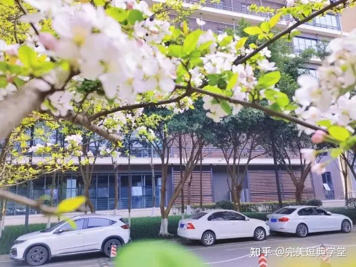 【原画/3d建模/游戏特效/UE4地编】培训课程-完美逗典学堂招生中~