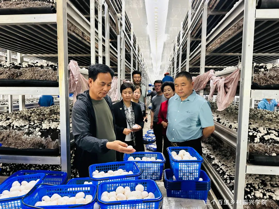 郑州延津商会赴上海学习考察乡村振兴项目