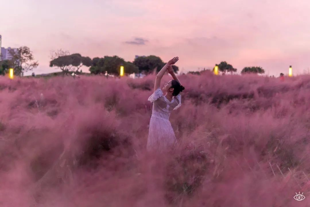 深圳3月14个赏花胜地全部免费,深圳清明节踏青赏花好去处