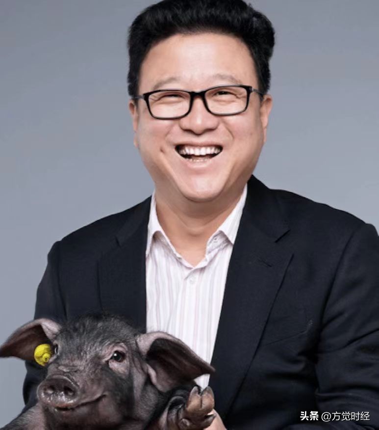 还记得网易养的猪吗，27.7万/头高价后，现在却飞不动了？