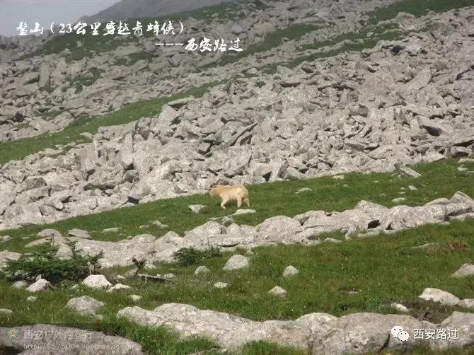 鳌山青峰峡,鳌山穿越要几天