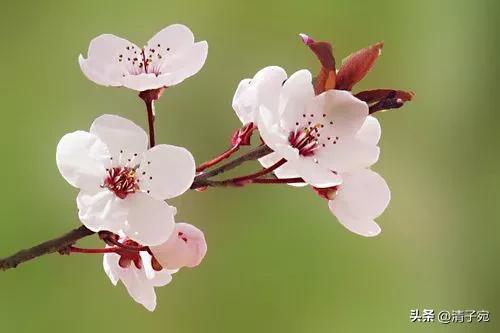 刚毕业的大学生应该工作还是备考,刚毕业的大学生选择高薪还是低薪