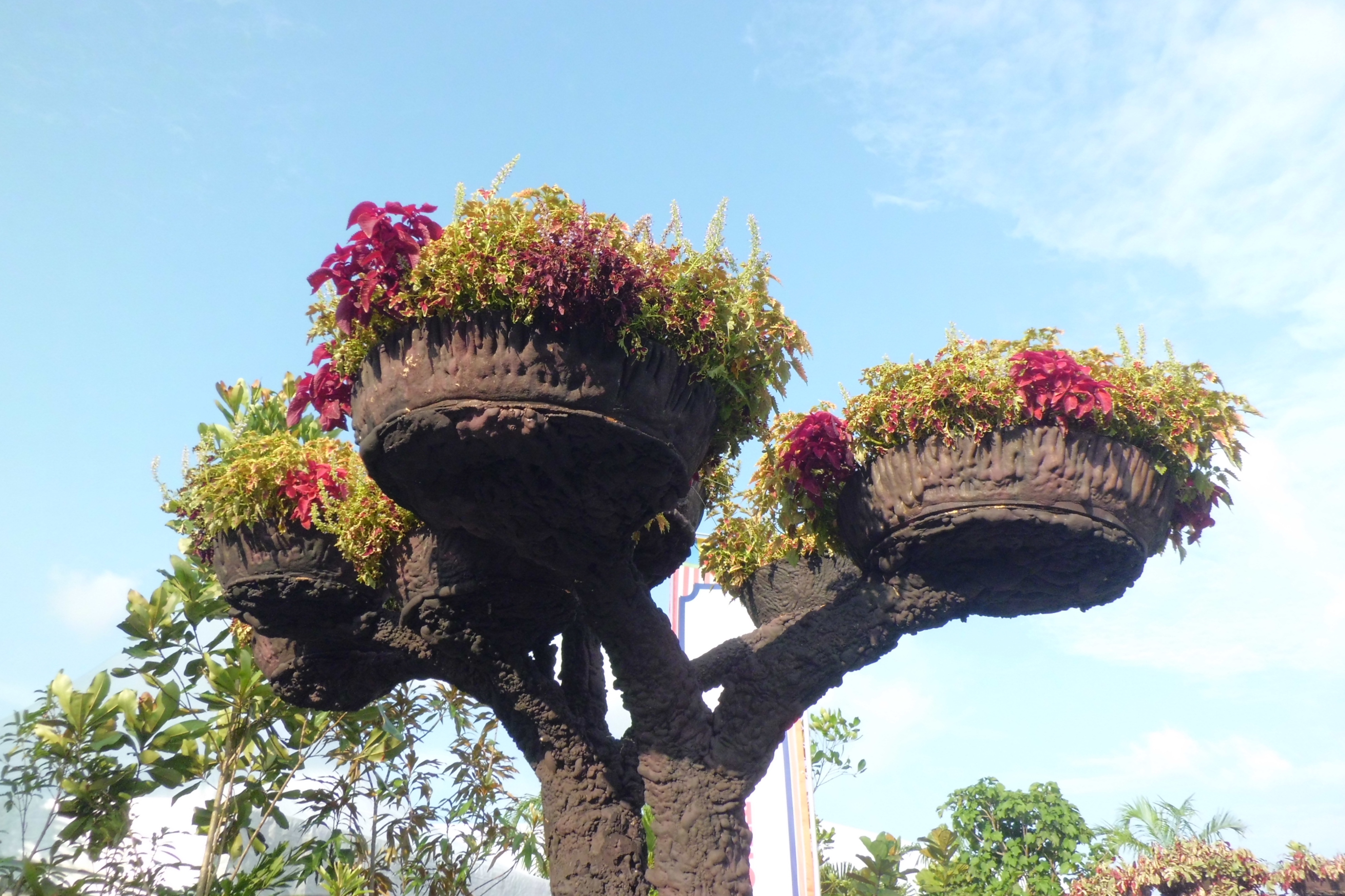新加坡滨海湾金沙花园景观房,新加坡金沙空中花园高清图