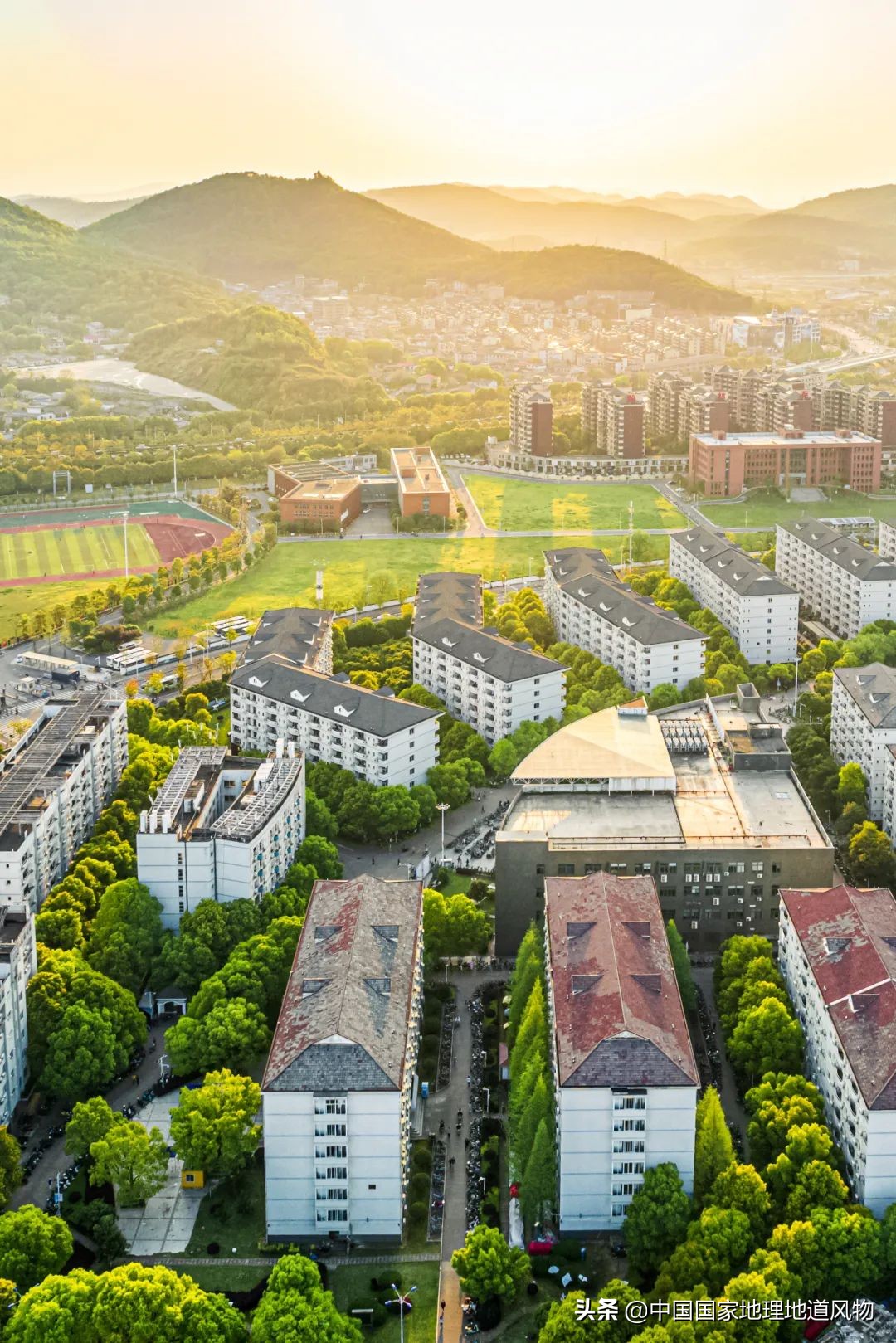 中南大学中南矿冶学院,中南是哪个大学