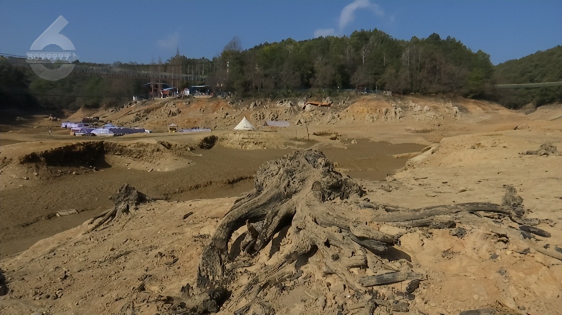现在的野鸭湖,野鸭湖报道