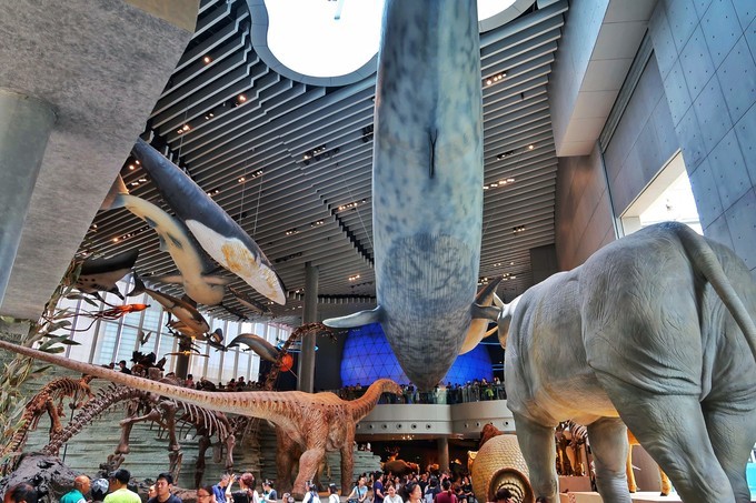 上海四天五夜旅游攻略,上海周边四天三夜攻略